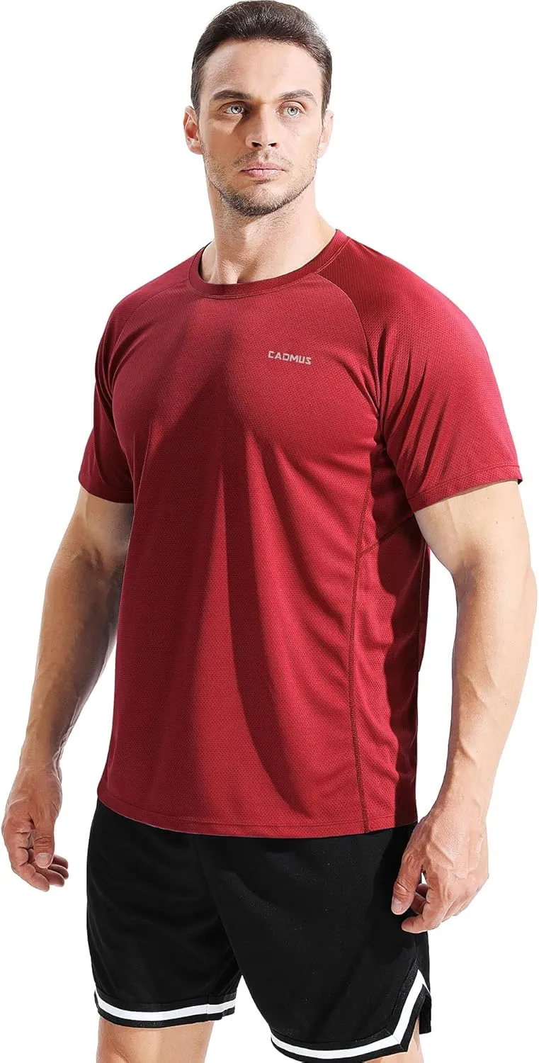 CADMUS Men's 3 Pack Workout Shirts Dry Fit Mesh Athletic T-Shirts