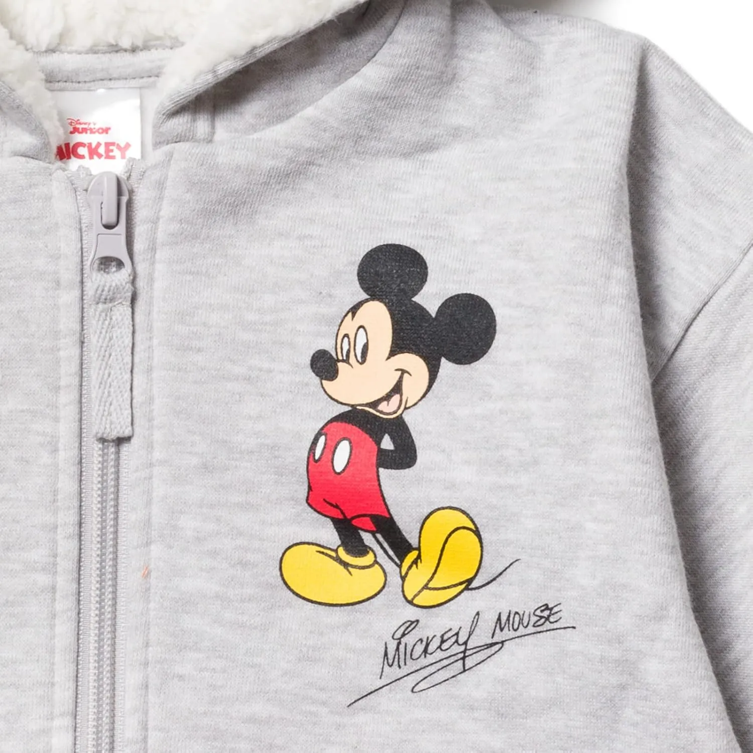Disney Mickey Mouse Minnie Mouse Lion King Simba Fleece Zip Up Hoodie Newborn to Toddler